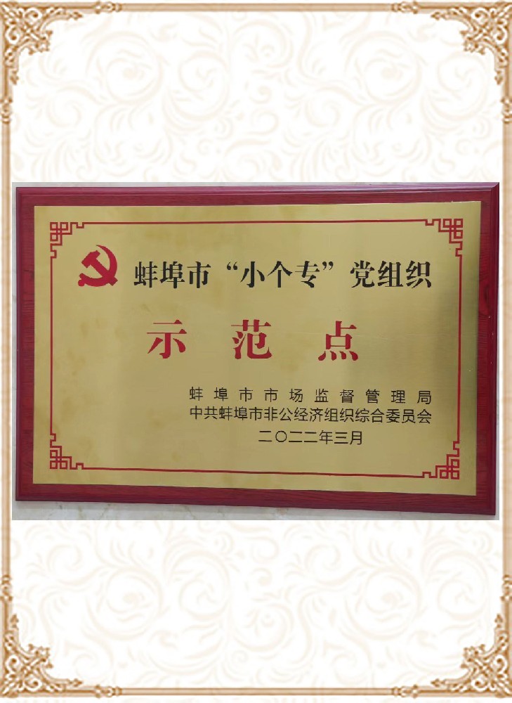 蚌埠市“小個(gè)?！秉h組織示范點(diǎn)