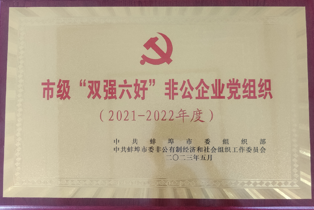 喜報！中共安徽盛世新能源材料科技有限公司支部委員會榮獲蚌埠市“雙強(qiáng)六好”非公企業(yè)黨組織榮譽稱號